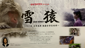 「雪猿」snowmonkey ギャラクシー賞奨励賞受賞
