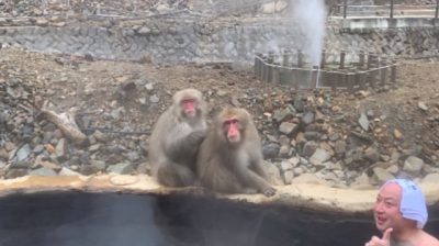 温泉と猿だ！　地獄谷温泉プラン（5月〜−10月）